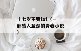 十七岁不哭txt（一部感人至深的青春小说）