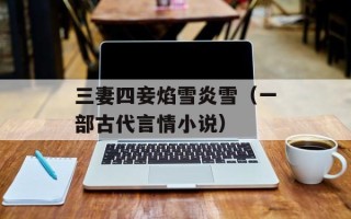 三妻四妾焰雪炎雪（一部古代言情小说）