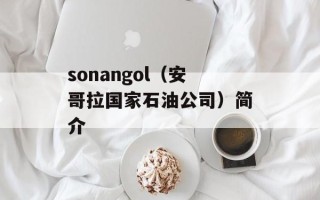 sonangol（安哥拉国家石油公司）简介
