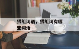猥组词语，猥组词有哪些词语