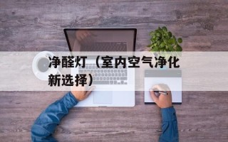 净醛灯（室内空气净化新选择）