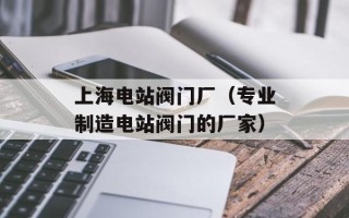 上海电站阀门厂（专业制造电站阀门的厂家）