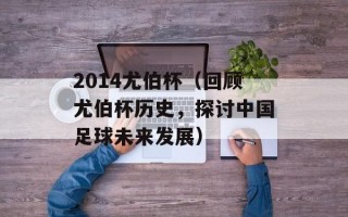 2014尤伯杯（回顾尤伯杯历史，探讨中国足球未来发展）