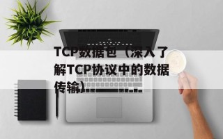 TCP数据包（深入了解TCP协议中的数据传输）