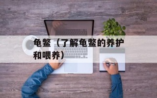 龟鳖（了解龟鳖的养护和喂养）