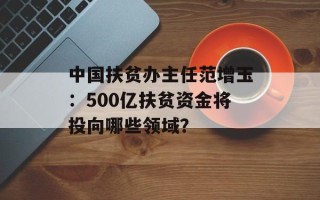 中国扶贫办主任范增玉：500亿扶贫资金将投向哪些领域？