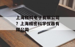 上海精科电子有限公司？上海精密科学仪器有限公司