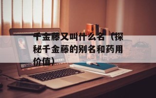 千金藤又叫什么名（探秘千金藤的别名和药用价值）