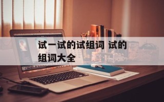 试一试的试组词 试的组词大全