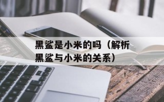 黑鲨是小米的吗（解析黑鲨与小米的关系）