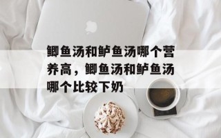 鲫鱼汤和鲈鱼汤哪个营养高，鲫鱼汤和鲈鱼汤哪个比较下奶