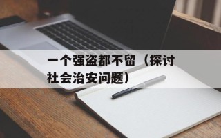 一个强盗都不留（探讨社会治安问题）
