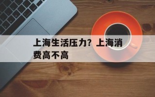 上海生活压力？上海消费高不高