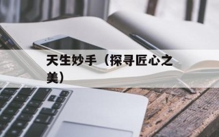 天生妙手（探寻匠心之美）