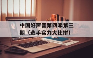中国好声音第四季第三期（选手实力大比拼）