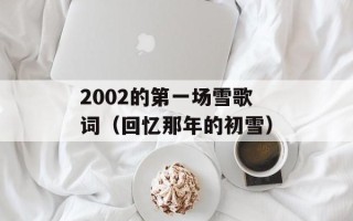 2002的第一场雪歌词（回忆那年的初雪）