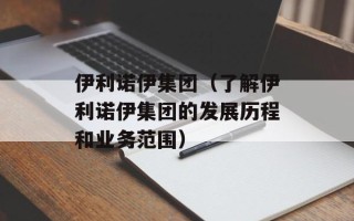 伊利诺伊集团（了解伊利诺伊集团的发展历程和业务范围）