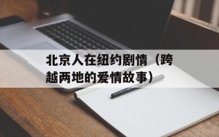 北京人在纽约剧情（跨越两地的爱情故事）