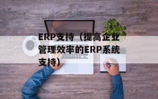 ERP支持（提高企业管理效率的ERP系统支持）