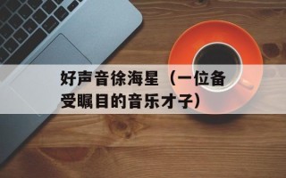 好声音徐海星（一位备受瞩目的音乐才子）