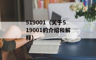 519001（关于519001的介绍和解释）