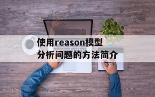 使用reason模型分析问题的方法简介