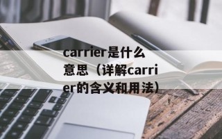 carrier是什么意思（详解carrier的含义和用法）