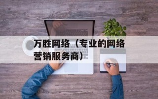 万胜网络（专业的网络营销服务商）