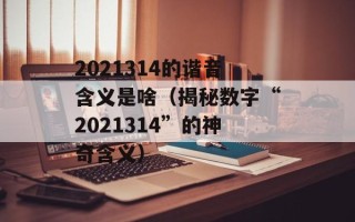 2021314的谐音含义是啥（揭秘数字“2021314”的神奇含义）