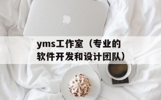 yms工作室（专业的软件开发和设计团队）