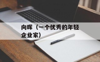 向晖（一个优秀的年轻企业家）