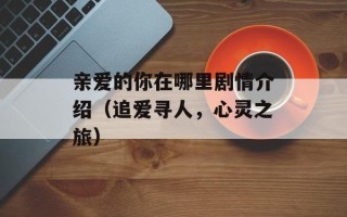 亲爱的你在哪里剧情介绍（追爱寻人，心灵之旅）