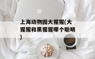 上海动物园大猩猩(大猩猩和黑猩猩哪个聪明)