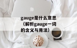 gauge是什么意思（解析gauge一词的含义与用法）