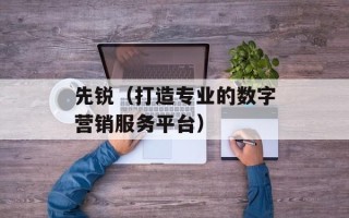 先锐（打造专业的数字营销服务平台）