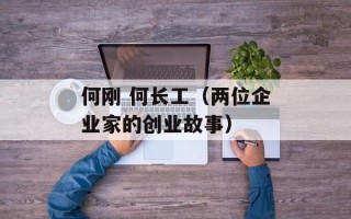 何刚 何长工（两位企业家的创业故事）