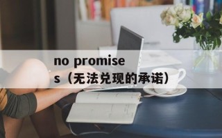 no promises（无法兑现的承诺）