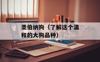 圣伯纳狗（了解这个温和的大狗品种）