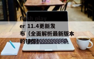 flash player 11.4更新发布（全面解析最新版本的特性）