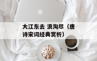 大江东去 浪淘尽（唐诗宋词经典赏析）
