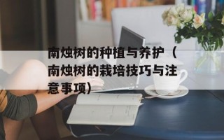 南烛树的种植与养护（南烛树的栽培技巧与注意事项）