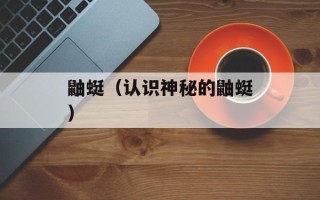 鼬蜓（认识神秘的鼬蜓）