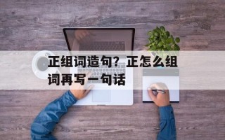 正组词造句？正怎么组词再写一句话