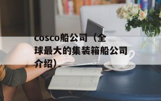 cosco船公司（全球最大的集装箱船公司介绍）