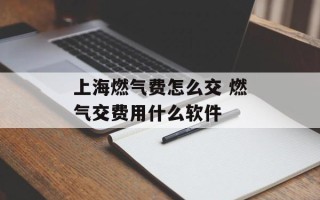 上海燃气费怎么交 燃气交费用什么软件
