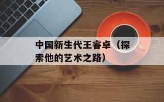 中国新生代王睿卓（探索他的艺术之路）