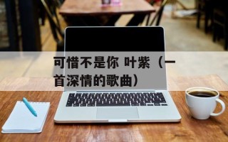可惜不是你 叶紫（一首深情的歌曲）