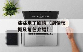 婆婆来了剧情（剧情梗概及角色介绍）