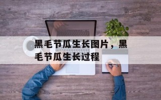 黑毛节瓜生长图片，黑毛节瓜生长过程