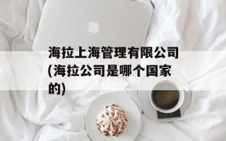 海拉上海管理有限公司(海拉公司是哪个国家的)